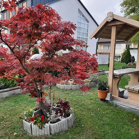 Gaestehaus Guter Stern Bad Steben Bagian luar foto